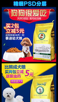 寵物用品淘寶店招設計模板——打造吸睛寵物食品店鋪